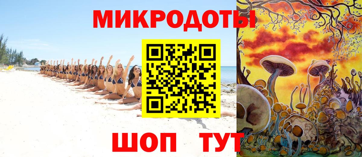 Энгельс  Псилоцибиновые грибы Psilocybine cubensis  Вход с VPN  Галлюциногенные грибы Magic Shrooms 