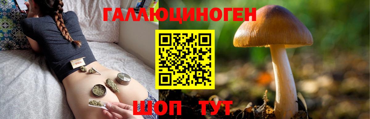 Галлюциногенные грибы мицелий Энгельс